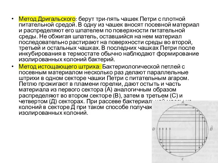 Метод Дригальского: берут три-пять чашек Петри с плотной питательной средой. В одну