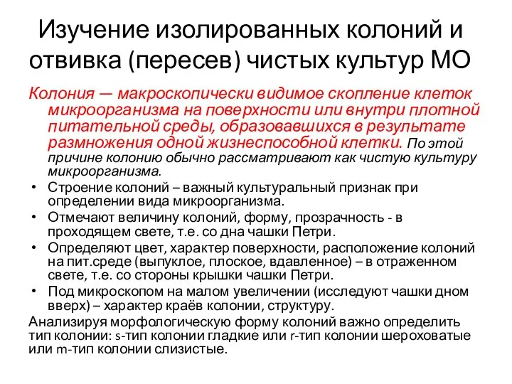 Изучение изолированных колоний и отвивка (пересев) чистых культур МО Колония — макроскопически