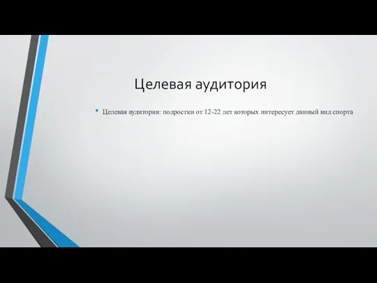 Целевая аудитория Целевая аудитория: подростки от 12-22 лет которых интересует данный вид спорта