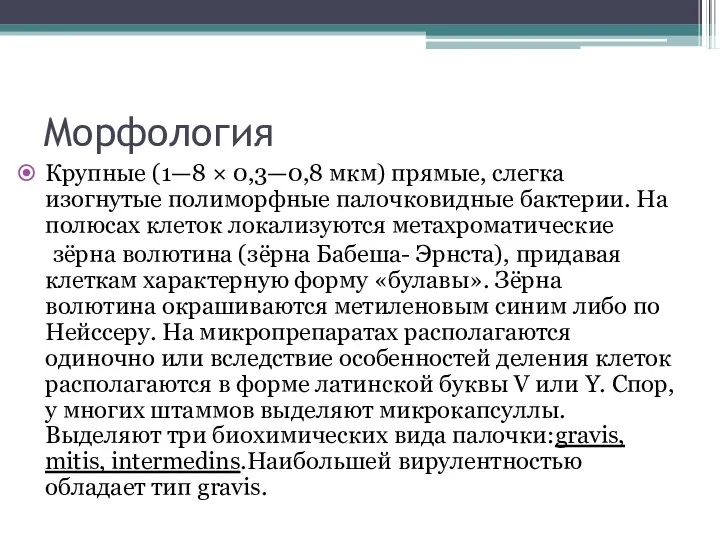 Морфология Крупные (1—8 × 0,3—0,8 мкм) прямые, слегка изогнутые полиморфные палочковидные бактерии.