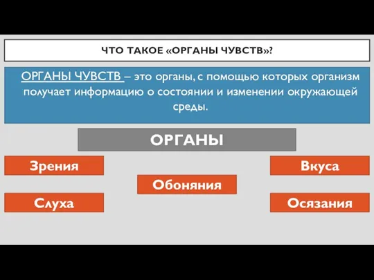 ЧТО ТАКОЕ «ОРГАНЫ ЧУВСТВ»? ОРГАНЫ ЧУВСТВ – это органы, с помощью которых