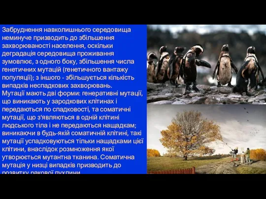 Забруднення навколишнього середовища неминуче призводить до збільшення захворюваності населення, оскільки деградація середовища