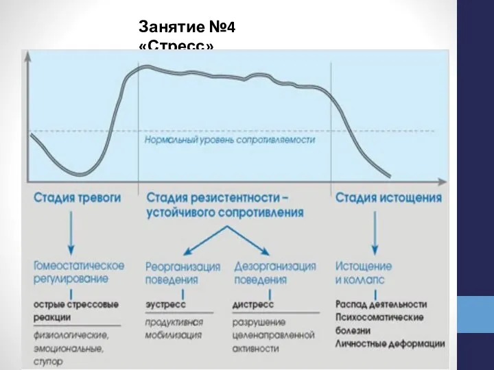 Занятие №4 «Стресс»