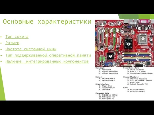 Основные характеристики Тип сокета Размер Частота системной шины Тип поддерживаемой оперативной памяти Наличие интегрированных компонентов