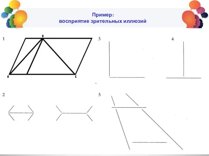 Пример: восприятие зрительных иллюзий