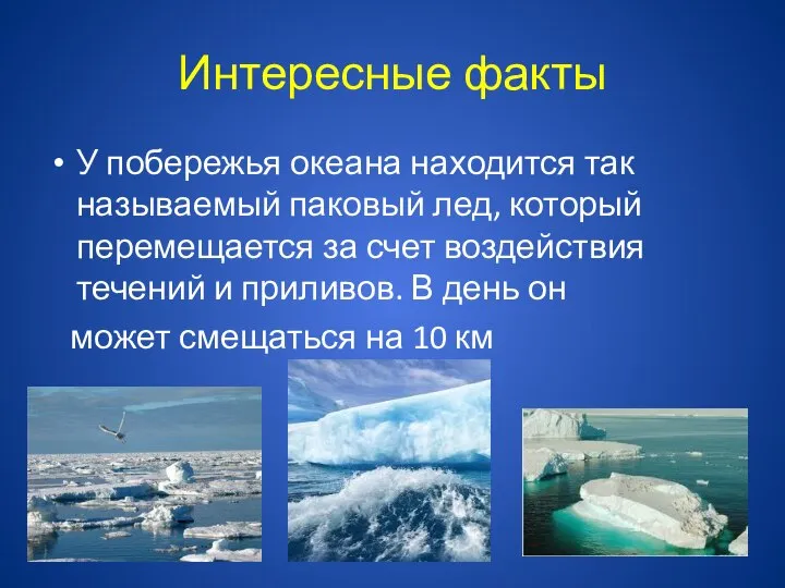Интересные факты У побережья океана находится так называемый паковый лед, который перемещается