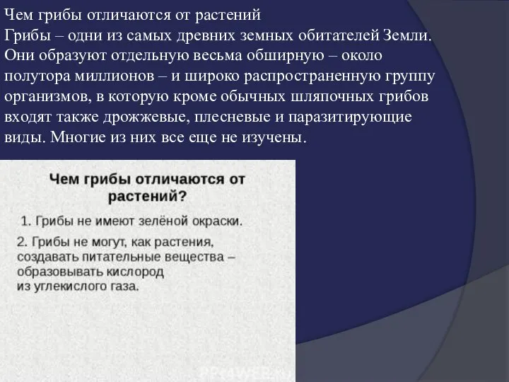 Чем грибы отличаются от растений Грибы – одни из самых древних земных