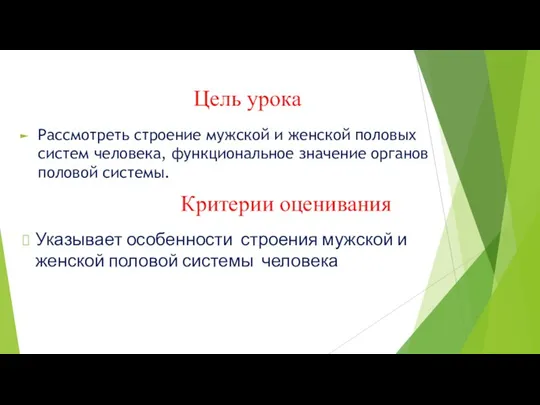 Цель урока Рассмотреть строение мужской и женской половых систем человека, функциональное значение