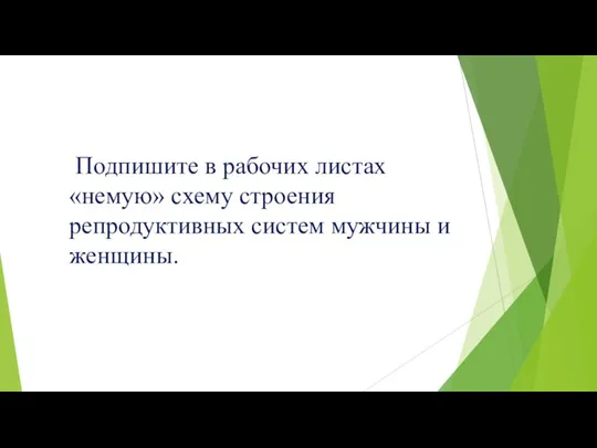 Подпишите в рабочих листах «немую» схему строения репродуктивных систем мужчины и женщины.