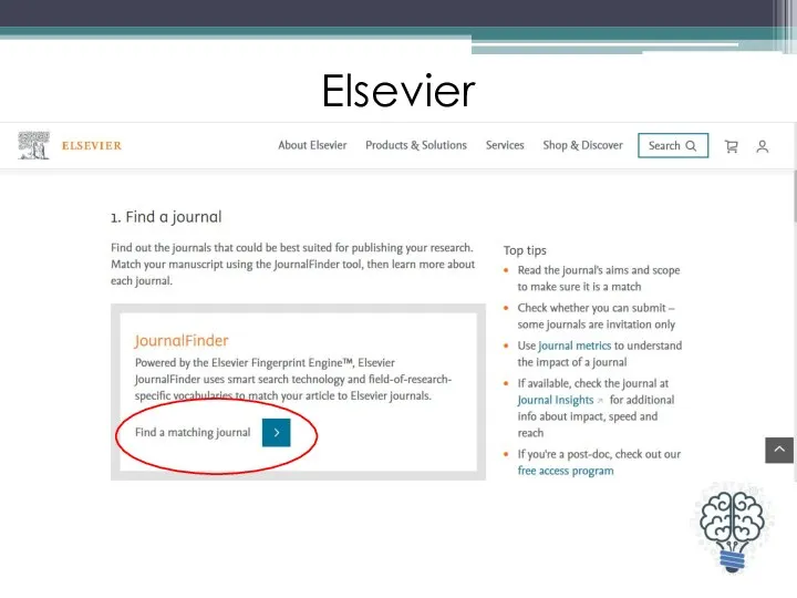 Elsevier