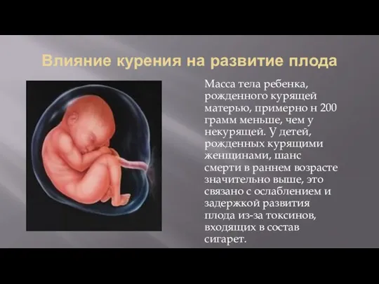 Влияние курения на развитие плода Масса тела ребенка, рожденного курящей матерью, примерно