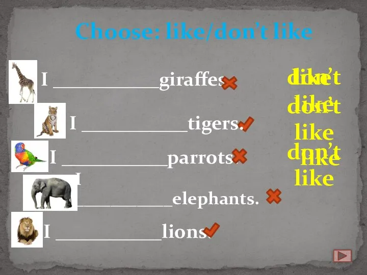 I ___________giraffes. Choose: like/don’t like I ___________tigers. I ___________parrots. I ___________elephants. I