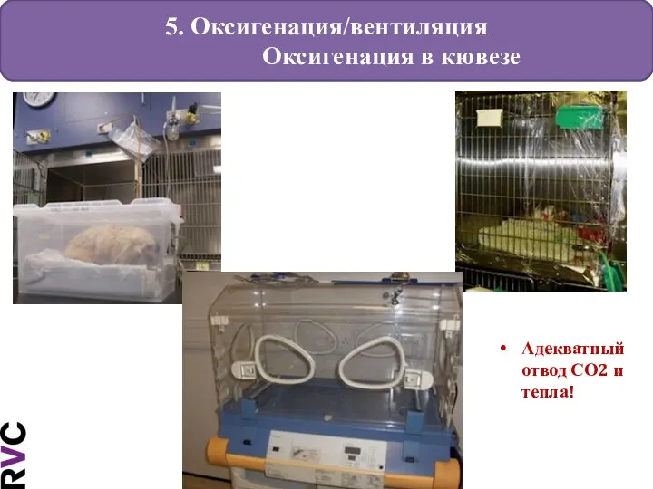 5. Оксигенация/вентиляция Оксигенация в кювезе Адекватный отвод СО2 и тепла!