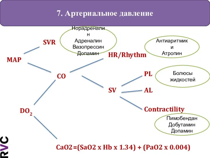 7. Артериальное давление SV CO SVR MAP HR/Rhythm PL AL Contractility DO2