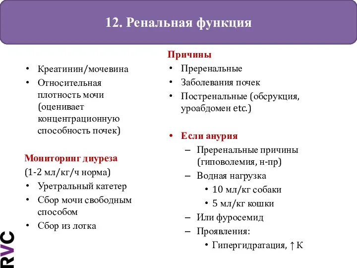 12. Ренальная функция Креатинин/мочевина Относительная плотность мочи (оценивает концентрационную способность почек) Мониторинг