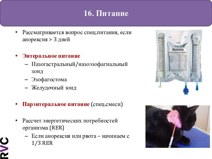 16. Питание Рассматривается вопрос спец.питания, если анорексия > 3 дней Энтеральное питание