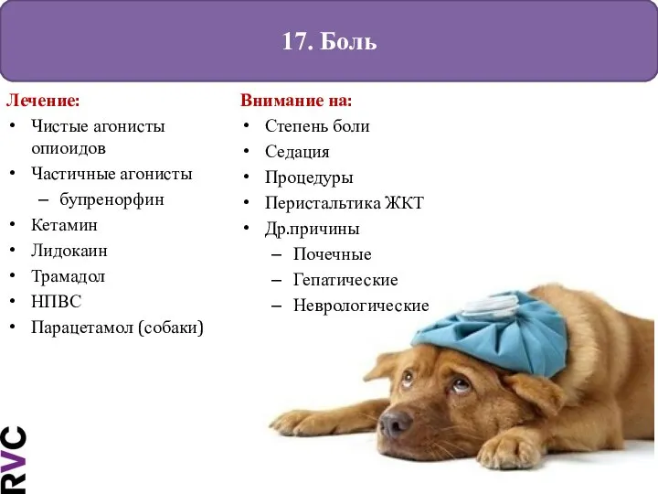 17. Боль Лечение: Чистые агонисты опиоидов Частичные агонисты бупренорфин Кетамин Лидокаин Трамадол