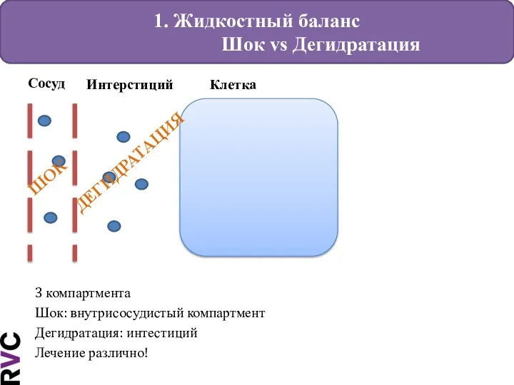 1. Жидкостный баланс Шок vs Дегидратация Сосуд 3 компартмента Шок: внутрисосудистый компартмент