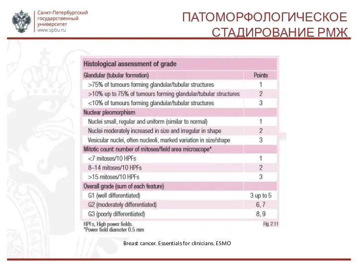 ПАТОМОРФОЛОГИЧЕСКОЕ СТАДИРОВАНИЕ РМЖ Breast cancer. Essentials for clinicians. ESMO