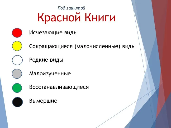 Под защитой Красной Книги Исчезающие виды Сокращающиеся (малочисленные) виды Редкие виды Малоизученные Восстанавливающиеся Вымершие