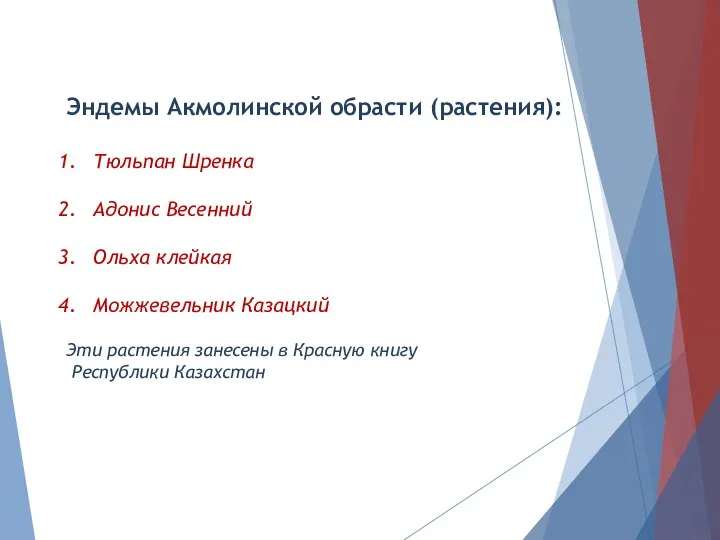 Эндемы Акмолинской обрасти (растения): Тюльпан Шренка Адонис Весенний Ольха клейкая Можжевельник Казацкий