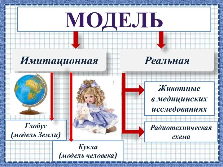 МОДЕЛЬ Имитационная Реальная Глобус (модель Земли) Кукла (модель человека) Животные в медицинских исследованиях Радиотехническая схема