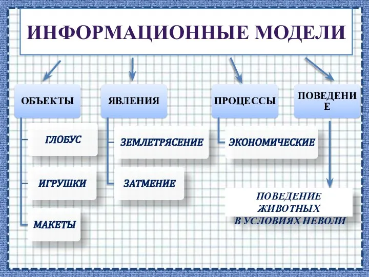 ИНФОРМАЦИОННЫЕ МОДЕЛИ ПОВЕДЕНИЕ ЖИВОТНЫХ В УСЛОВИЯХ НЕВОЛИ