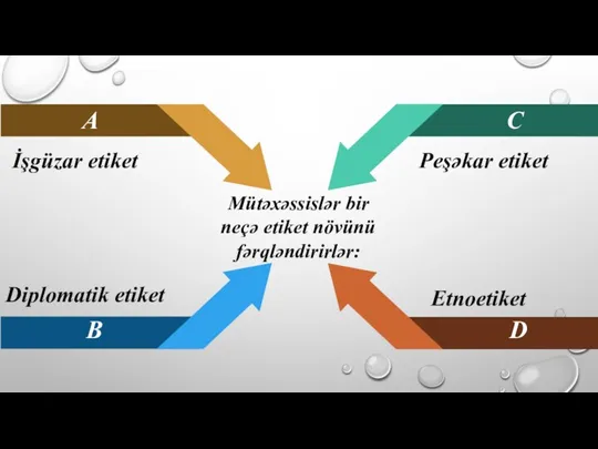 İşgüzar etiket A C Peşəkar etiket B D Etnoetiket Diplomatik etiket Mütəxəssislər