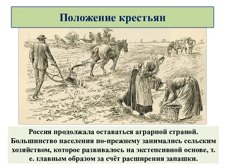 Россия продолжала оставаться аграрной страной. Большинство населения по-прежнему занимались сельским хозяйством, которое