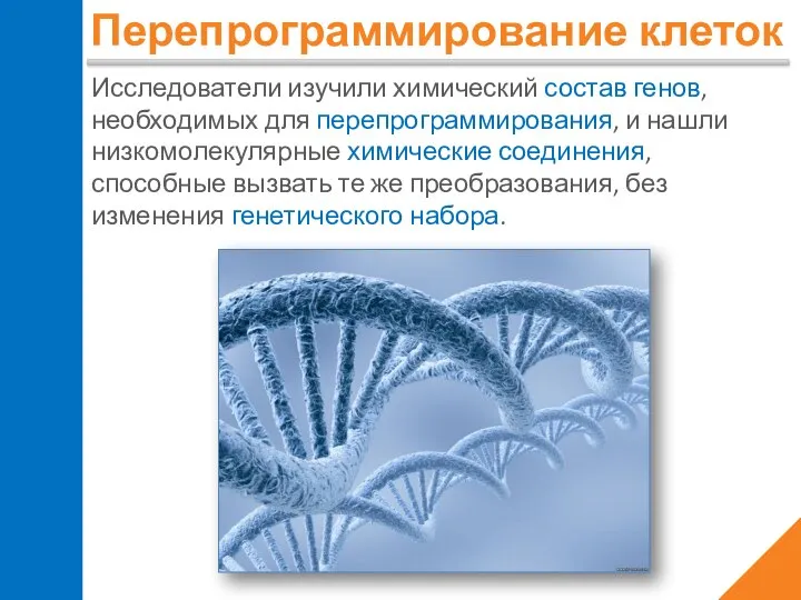 Перепрограммирование клеток Исследователи изучили химический состав генов, необходимых для перепрограммирования, и нашли