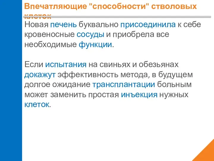 Впечатляющие "способности" стволовых клеток Новая печень буквально присоединила к себе кровеносные сосуды