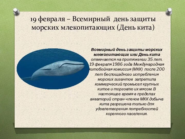 19 февраля – Всемирный день защиты морских млекопитающих (День кита) Всемирный день