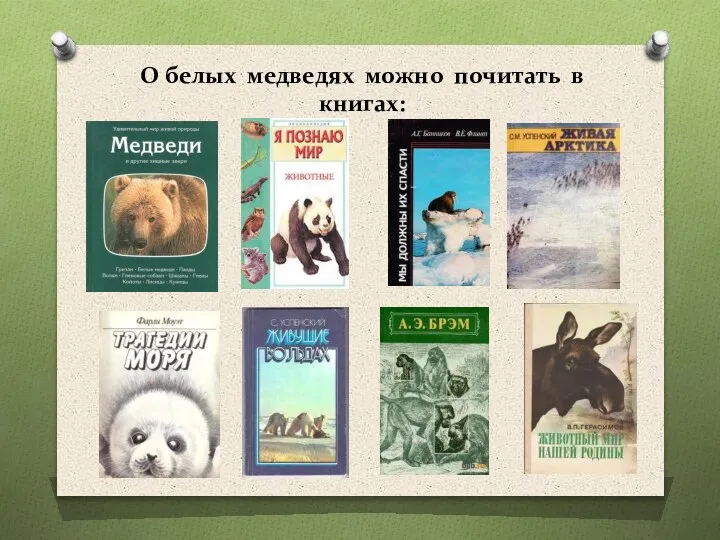 О белых медведях можно почитать в книгах: