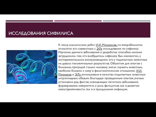 ИССЛЕДОВАНИЯ СИФИЛИСА К числу классических работ И.И. Мечникова по микробиологии относятся его