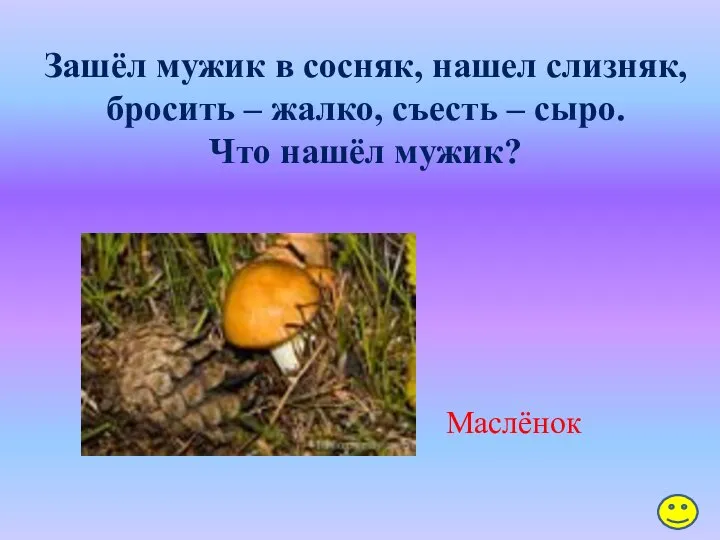 Зашёл мужик в сосняк, нашел слизняк, бросить – жалко, съесть – сыро. Что нашёл мужик? Маслёнок