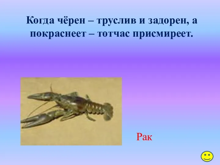 Когда чёрен – труслив и задорен, а покраснеет – тотчас присмиреет. Рак