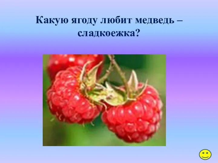 Какую ягоду любит медведь – сладкоежка?