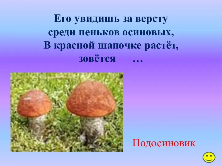 Его увидишь за версту среди пеньков осиновых, В красной шапочке растёт, зовётся … Подосиновик