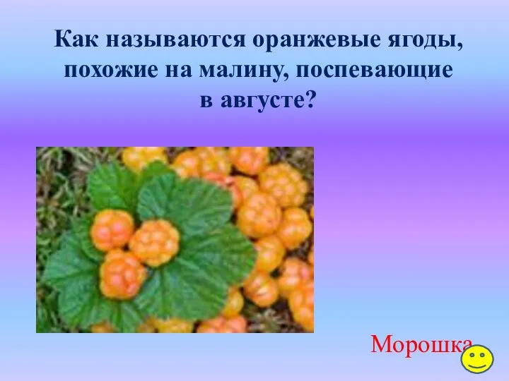 Как называются оранжевые ягоды, похожие на малину, поспевающие в августе? Морошка