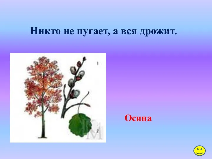 Никто не пугает, а вся дрожит. Осина