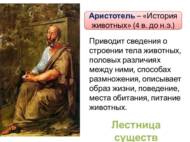Аристотель – «История животных» (4 в. до н.э.) Приводит сведения о строении