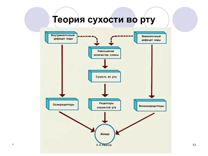 Теория сухости во рту * А.А.Иванов