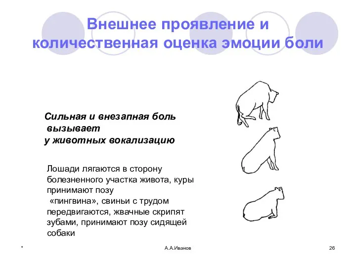 * А.А.Иванов Внешнее проявление и количественная оценка эмоции боли Сильная и внезапная