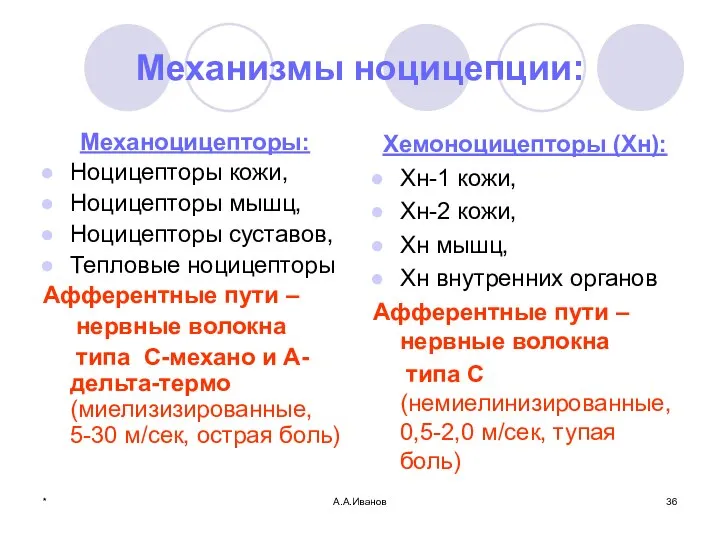 * А.А.Иванов Механизмы ноцицепции: Механоцицепторы: Ноцицепторы кожи, Ноцицепторы мышц, Ноцицепторы суставов, Тепловые