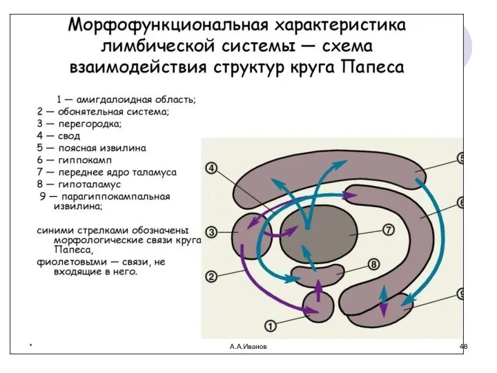 * А.А.Иванов