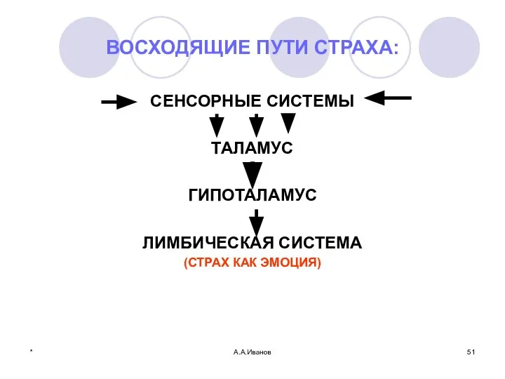 * А.А.Иванов ВОСХОДЯЩИЕ ПУТИ СТРАХА: СЕНСОРНЫЕ СИСТЕМЫ ТАЛАМУС ГИПОТАЛАМУС ЛИМБИЧЕСКАЯ СИСТЕМА (СТРАХ КАК ЭМОЦИЯ)