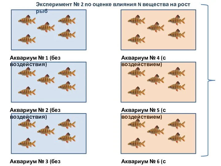 Эксперимент № 2 по оценке влияния N вещества на рост рыб Аквариум