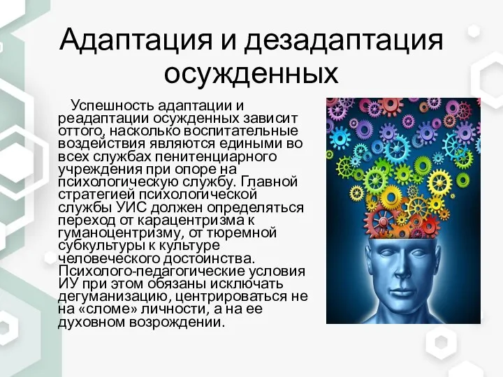 Адаптация и дезадаптация осужденных Успешность адаптации и реадаптации осужденных зависит оттого, насколько