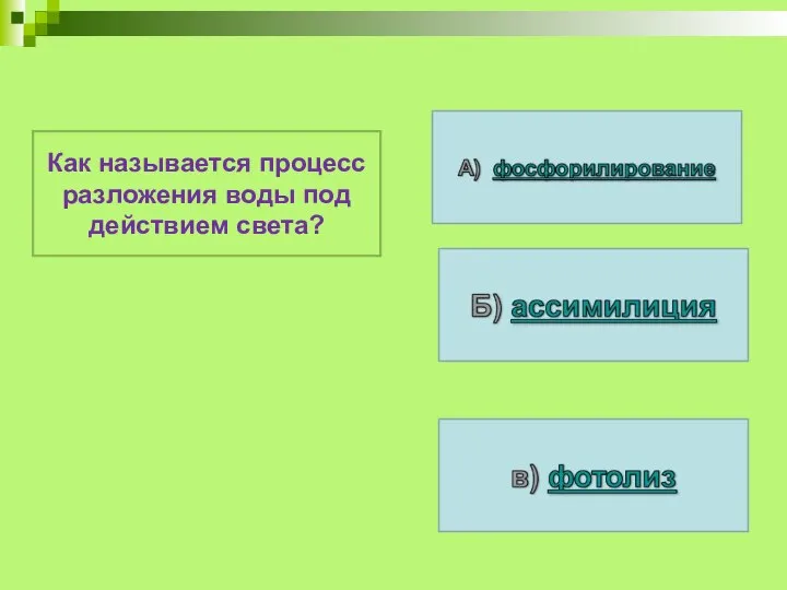 Как называется процесс разложения воды под действием света?