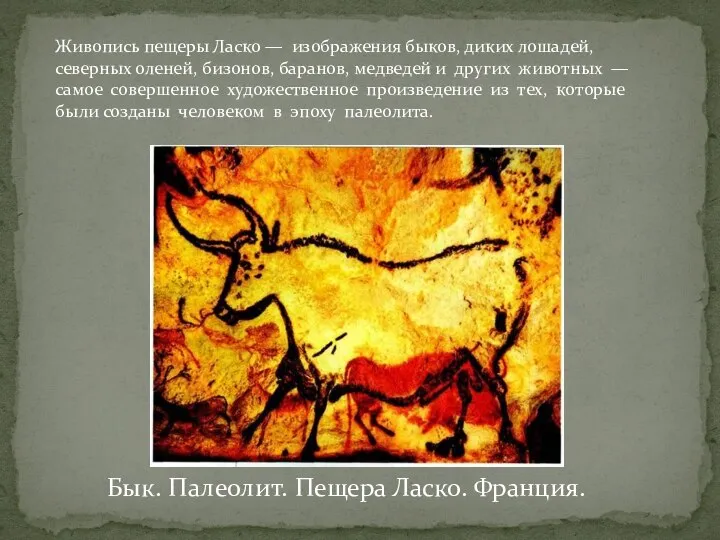 Бык. Палеолит. Пещера Ласко. Франция. Живопись пещеры Ласко — изображения быков, диких